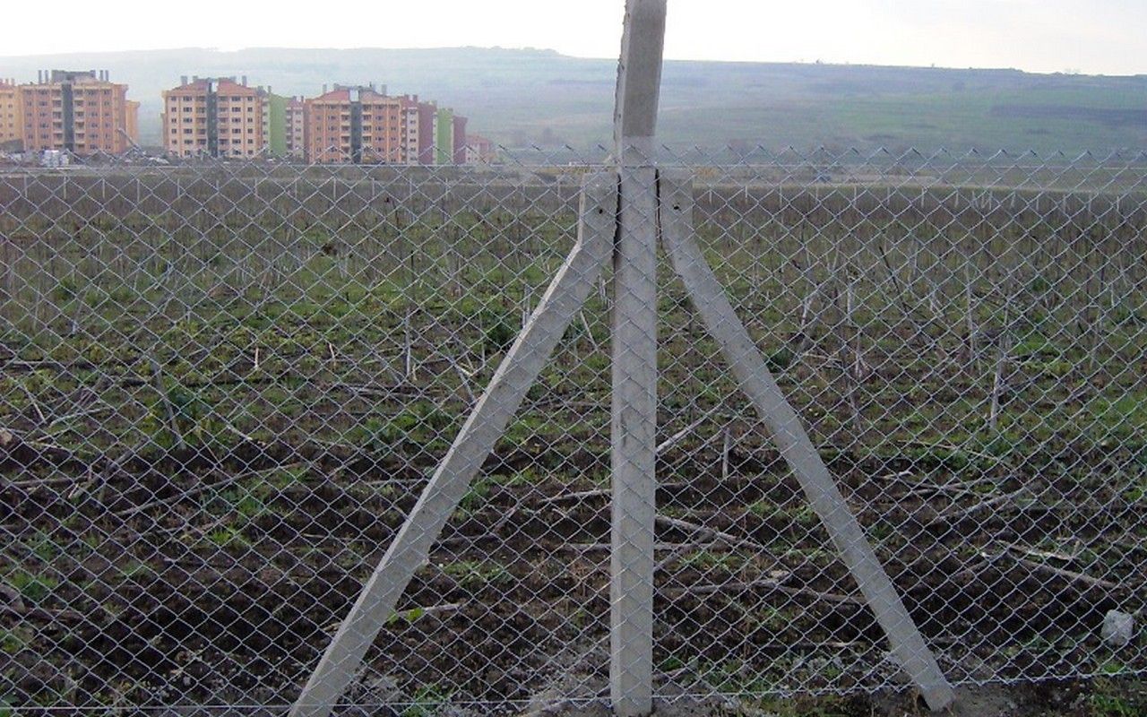 Klasik Çit